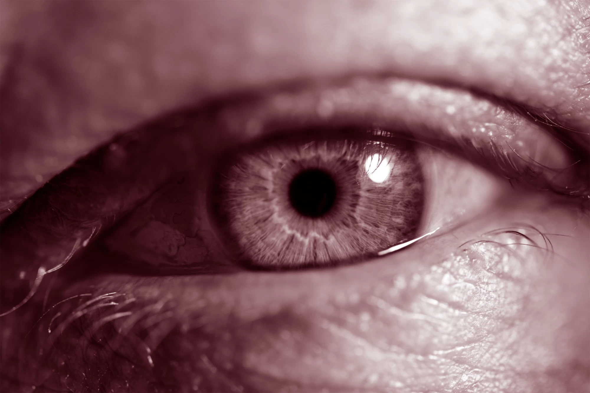 audiopur_blog