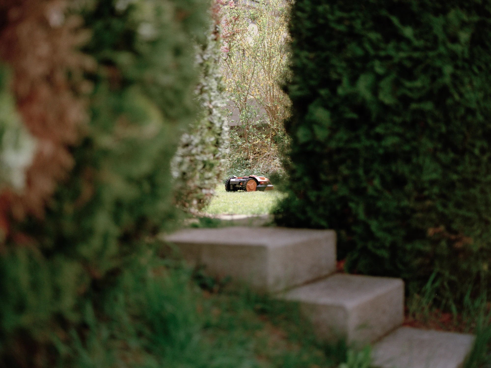 Bösingen / Garten